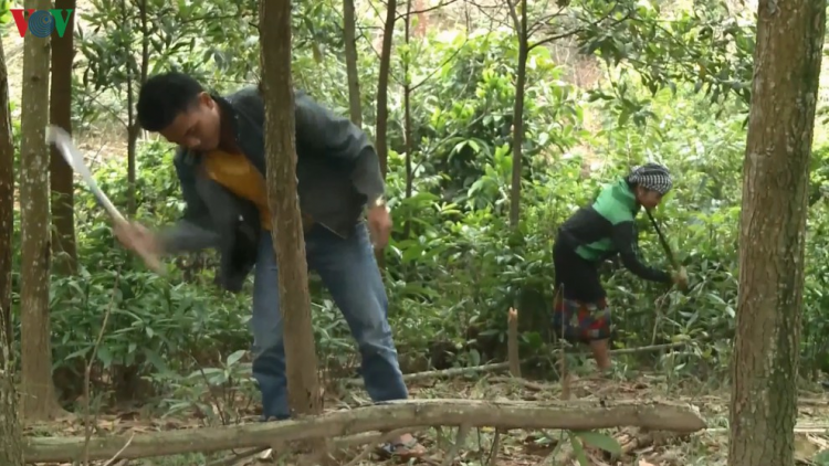 Đha nuôr acoon coh coh Quảng Bình zươc luh đhị c’bhuh pr’loọng đha rưt