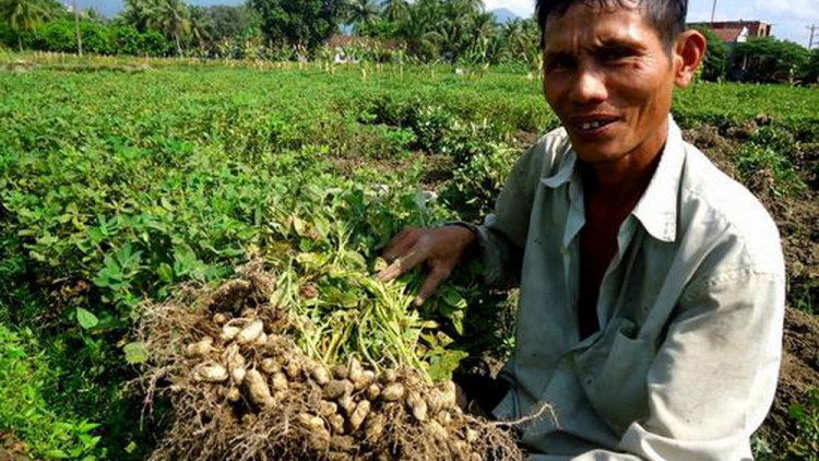 Quảng Nam: Đợ bấc âng a bhoo lâng tâm phóc k’nặ 46 r’bhâu tấn