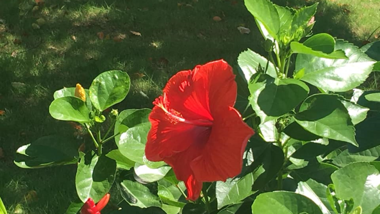 T’RÚIH T’NGAY 21/10/2019