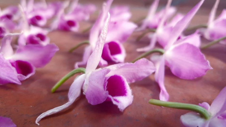 T'RUÍH PA XUL ZẤP T'NGAY 8/7/2019