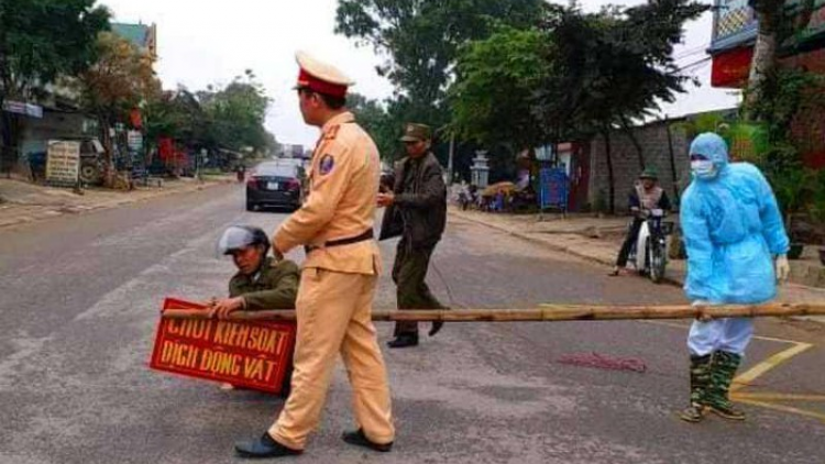 Thanh Hóa: Tăng cường kiểm soát dịch tả lợn châu Phi