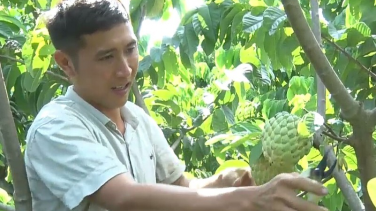 Sơn La: Na hoàng hậu chô đơơng zên tỷ năc đhiệp zập pa câl ooy pazêng siêu thị ga mắc