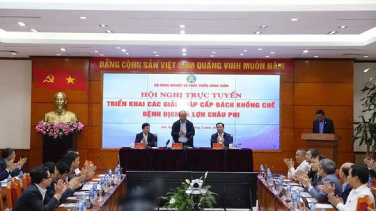 Thủ tướng chỉ đạo “5 không” để ngăn chặn dịch tả lợn châu Phi
