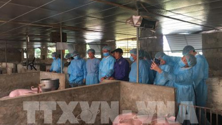 Ch’mêệt lêy, p’xoọng apêê c’bhúh c’lâng bh’rợ cơnh lâng đhr’năng dưr váih pr’lúh pa zruốh a óc châu Phi