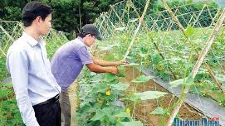 Quảng Ngãi: 6/6 chr’hoong đha rựt da ding ca coong bơơn k’rong bhrợ, zooi đoọng ting Bh’rợ xa nay 30a