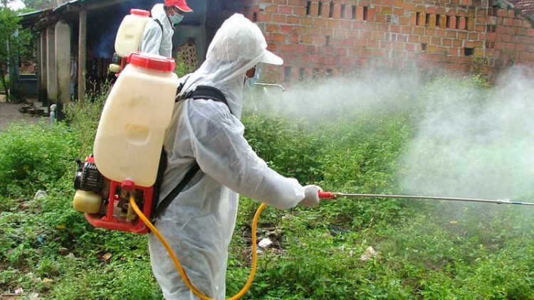 Quảng Bình: N’léh váih pr’lúh pr’zuốh châu Phi cóh a’ọc