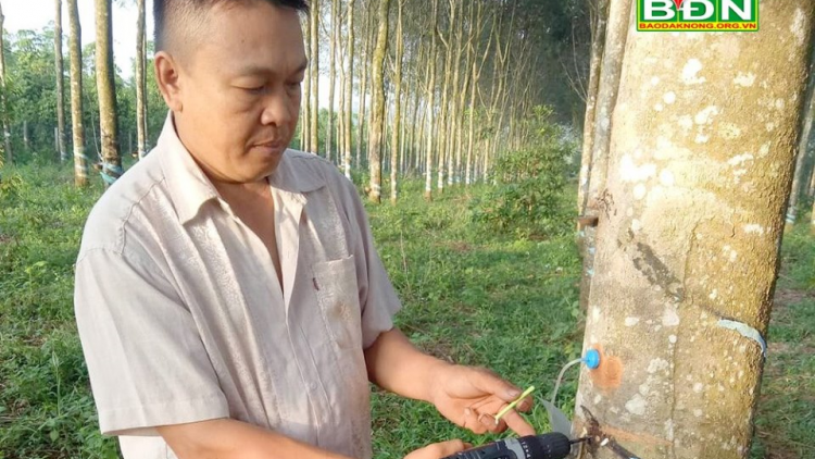 Pay dzệêt cao su lâng bh’rợ ép khí Ethylene