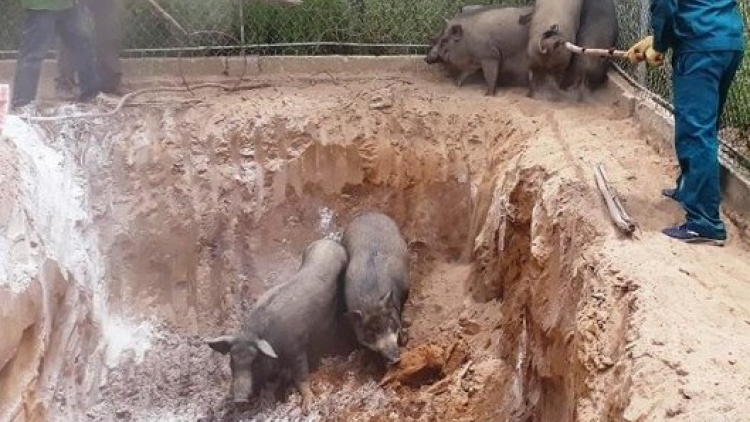 Nghệ An: P’xoọng 5 chr’val váih pr’lúh pa zrúah a óc Châu Phi