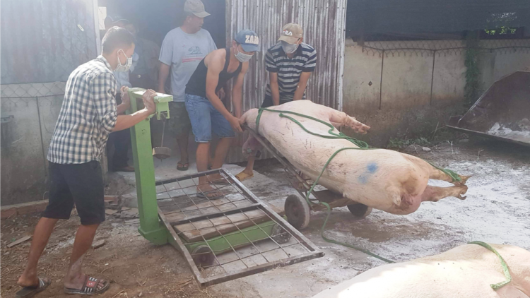 Lâm Đồng n’léh zr’lụ pr’lúh pa zruáh a óc châu Phi đhị zr’lụ b’băn bha lâng