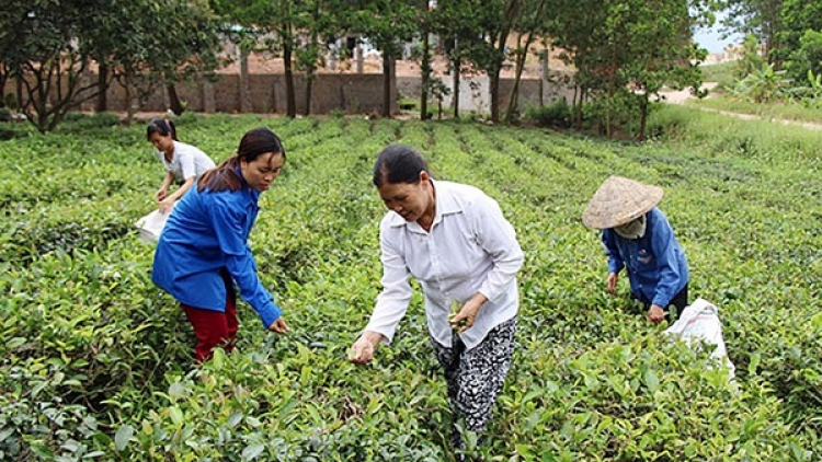 Ninh Thuận: Zước bơơn k’noọ 1.200 tỷ đồng k’rong bhrợ bh’rợ pa xiêr đha rứt đhị zr’lụ đhanuôr acoon cóh