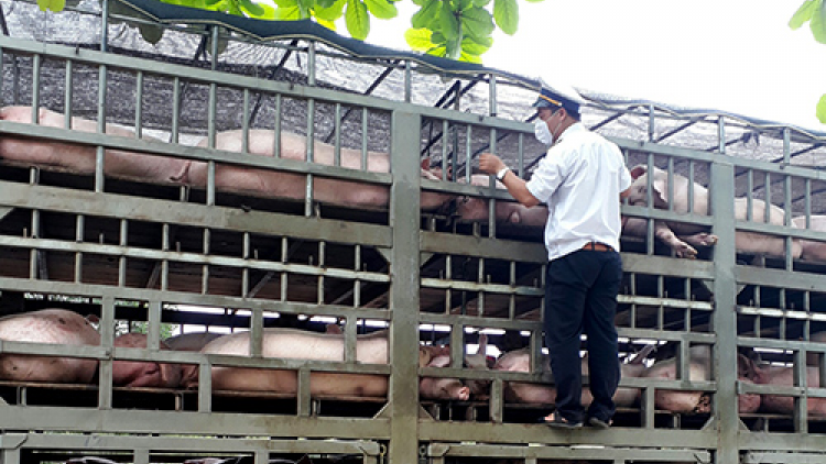 Đà Nẵng n’léh pr’lúh pr’zuốh a’ọc châu Phi