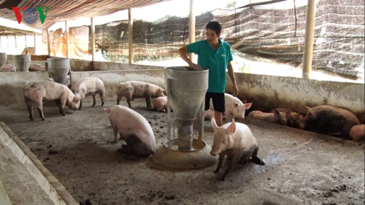 Ninh Thuận: K’rang pr’lúh pr’zuốh a’ọc châu Phi n’léh váih