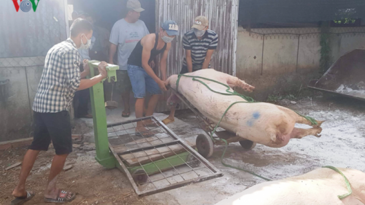 Bộ Nông nghiệp lâng pa dưr pa xớc bhươl cr’noon bhrợ têng Hội nghị prá xay ooy bh’rợ zâl cha groong pr’lúh pa zruáh a óc Châu Phi