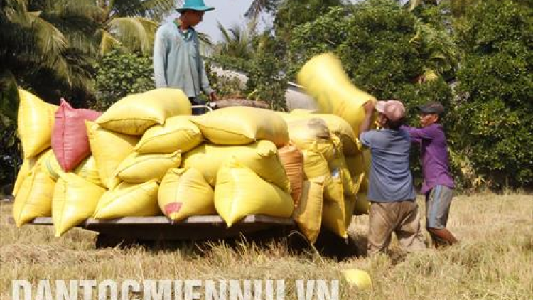 Sóc Trăng: Pr’ắt tr’mung đhanuôr Khmer tr’xăltu xa’nay bh’rợ pa dưr vel bhươl t’mêê