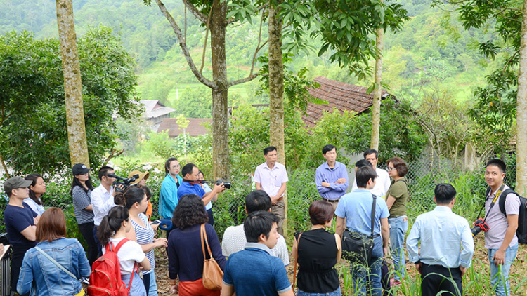 Quảng Nam: Zư lêy crâng ting cơnh xa nay bh’rớ REDD+
