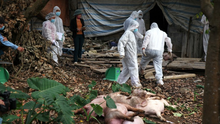 Lâh 7.600 chr’val ơy váih pr’luh pr’zuốh a’ọc châu Phi