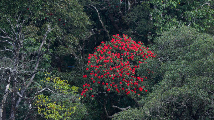 T'RUIH T'NGAY 25/10/2019