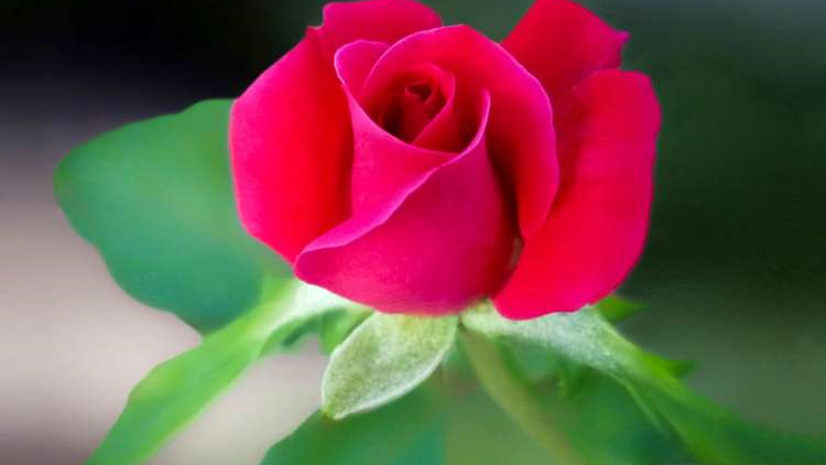 T'RUIH PA XUL T'NGAY 23 C'XÊÊ 10