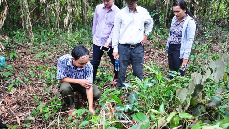 Ch’mêêt lêy đhr’năng la lua zr’lụ choh tơơm z’nươu coh Phước Sơn