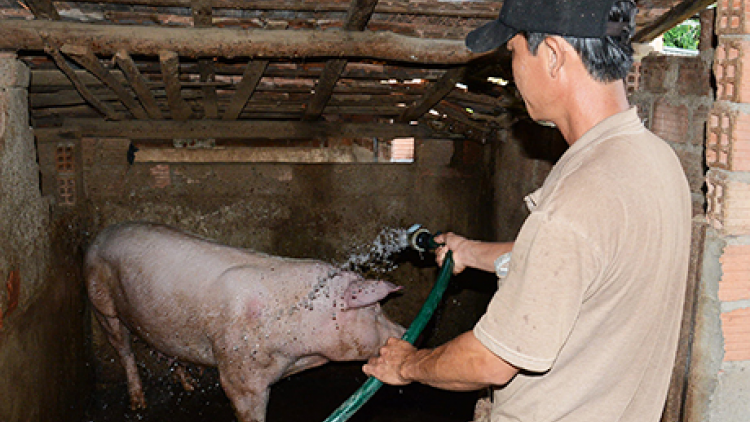 Kon Tum: Đơớh loon zúp zooi đhanuôr b’băn nhâm mâng pr’ắt tr’mông lâng bh’rợ pa bhrợ