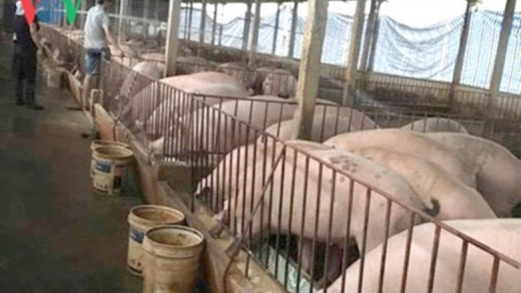 Lạng Sơn: T’bhlâng zâl cha groong pr’lúh pa zruáh a óc châu Phi