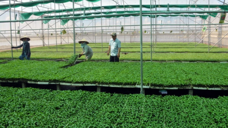 Pa chô bấc râu liêm choom tợơ chóh m’ma chr’nóh