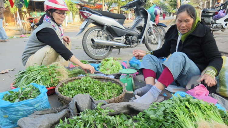 Đà Nẵng: toom 600 zr’lụ bhrợ lất ooy rau liêm crêê âng chr’na đha nắh