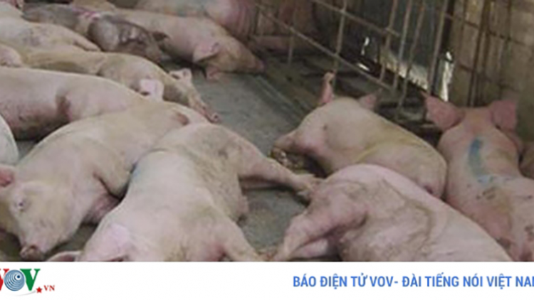 Kon Tum: Đhr’năng pr’lúh ha tụ bum tr’ploóc chr’coóp trơơi bhứah đhị cr’năn a óc