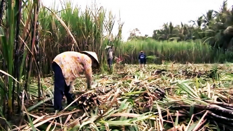 Đhanuôr chóh a tao đhị Trà Vinh bil bal bấc cớ