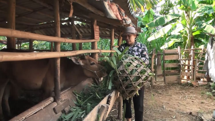 Sơn La: K’noọ 23 r’bhâu pr’loọng z’lấh đha rựt đươi vêy đợ zên vặ âng ngân hàng chính sách xã hội