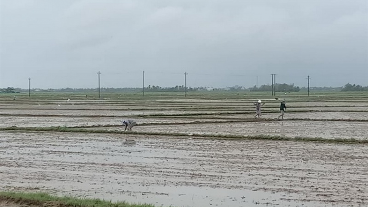 Phú Yên: Đhanuôr bhrợ ha rêê đhuốch ta bhúch m’ma xang bêl túh bhlong
