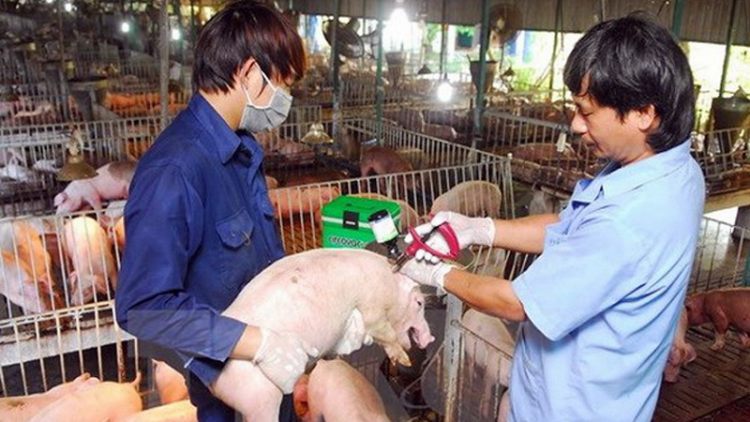T’bhlâng pa dưr apêê c’lâng bh’rợ zêl lâng cha groong pr’lúh pa zruôh a óc Châu Phi