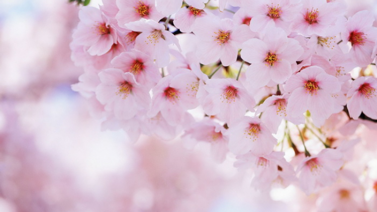 T'RUÍH PA XUL ZẤP T'NGAY 22/7/2019