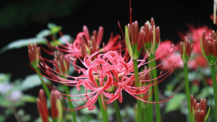 T'RUIH T'NGAY 23/6/2019