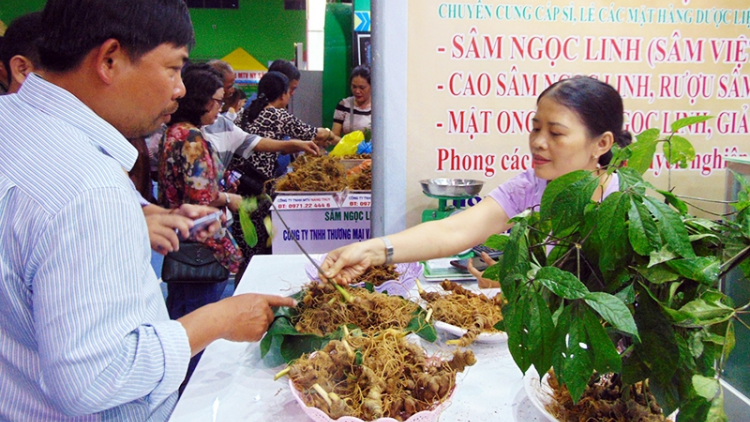 Bhrớ t’vaih bh’rớ tr’nêng đhị đêêc tơợ bh’rớ choh sâm Ngọc Linh