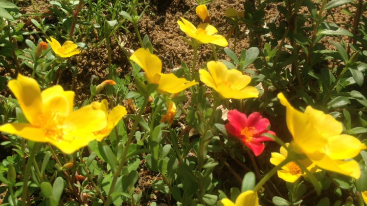 T'RUIH T'NGAY 9/11/2019