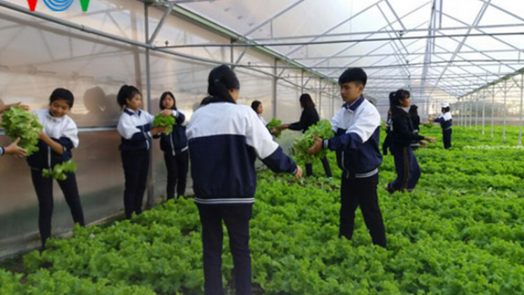 Lâm Đồng: Pa choom bhrợ nông nghiệp công nghệ dal cóh tr’nớt nhà trường