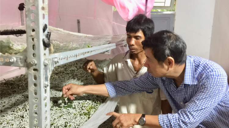 Đinh Văn tr’xăl  liêm t’mêê tơợ bh’rợ băn dâu tằm
