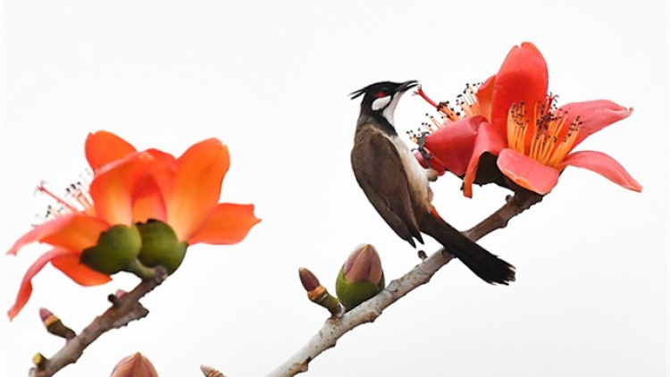 T'RUIH T'NGAY 16/12/2019