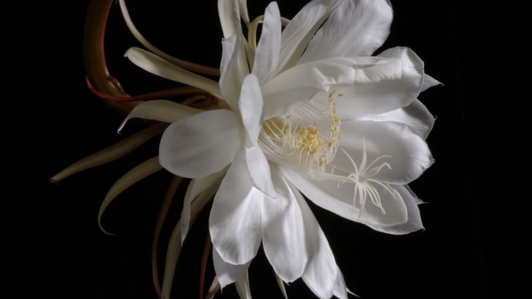 T’RUIH PA XUL T’NGAY 24/5/2019