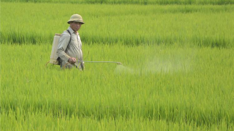 Điện Biên: T’bhlâng zâl cha groong đạo ôn cóh ha roo hâ noo ha ót ha pruốt