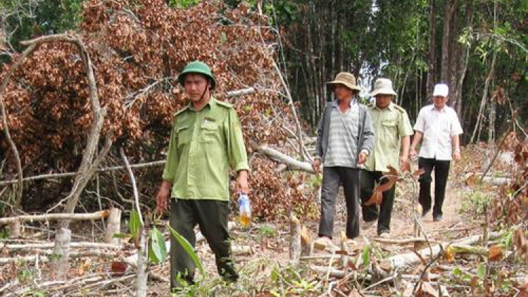 Phú Yên: P’răng p’úih đanh đươnh, đhr’năng roóh crâng dal
