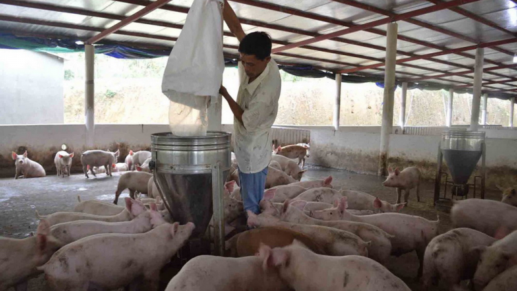 Quảng Nam pr’lúh pr’zuốh a’ọc Châu Phi trơơi boọ cóh đhăm bhứah