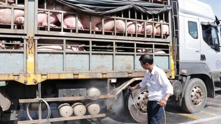 Quảng Trị: Zâl cha groong đhr’năng pa câl a ọc coh zr’lụ c’noong k’tiêc
