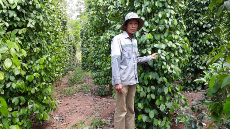 Quảng Nam: Chr’nắp âng a mót xiêr ếp, đhanuôr chóh nắc xăl chóh m’ma a mót