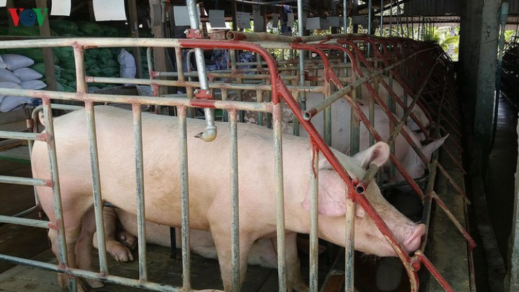 Sơn La: T’bhlầng lêy cha mệêt, tệêm ngăn chr’năp lệê đhị cr’chăl tết