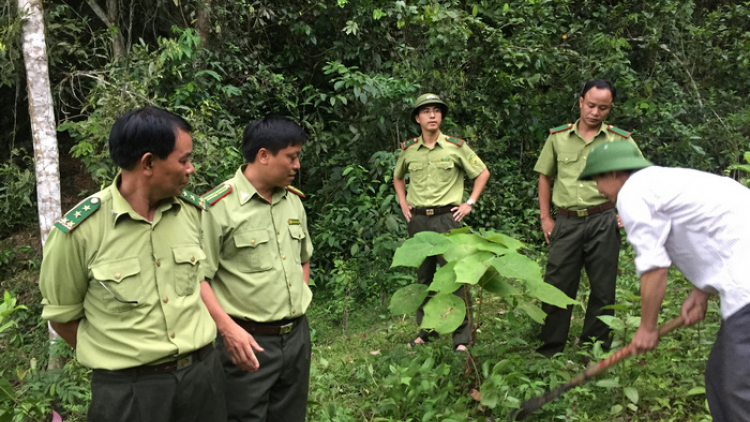 Nghệ An: P’răng puýh, apêê c’la crâng t’bhlâng zâl cha groong roóh crâng