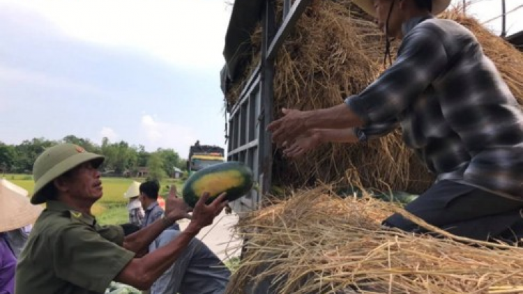 Quảng Nam: Bha cai dal chr’nắp, đha nuôr bhui har
