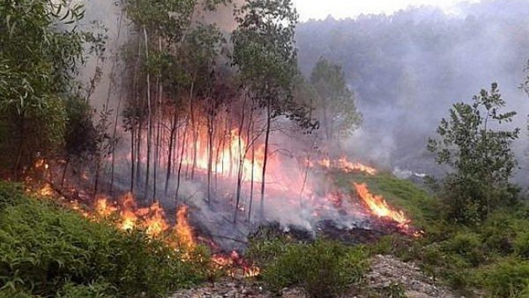 Apêê vel đong t’bhlầng bh’rợ đương zêl cha groong ra roóh ca cát crâng k’coong