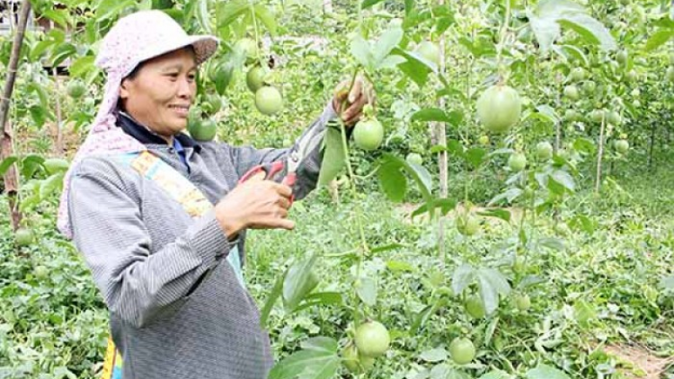 Chanh a ngoọn âng đơơng pr’ắt tr’mung z’zăng đoọng ha đhanuôr Mường Do